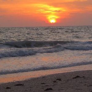 Meet your Posher, Iris